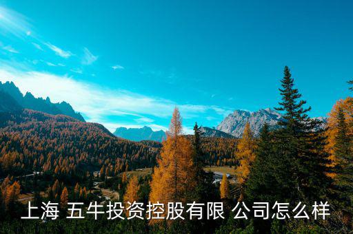 五?；鸸驹趺礃?上海五牛投資控股有限公司處于開業(yè)狀態(tài)