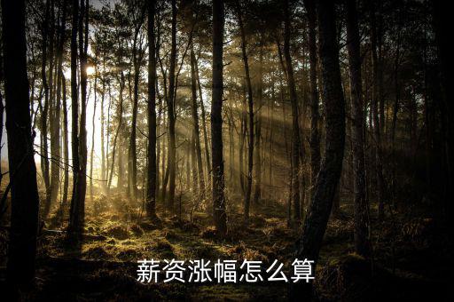 工資漲8個點(diǎn)怎么算,基礎(chǔ)養(yǎng)老金收益分配計劃的核心