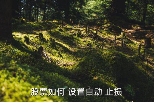 同花順止損怎么設置,股票交易可通過設置交易軟件實現(xiàn)自動化