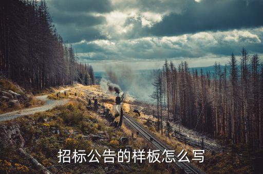 招標公告的樣板怎么寫