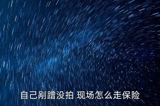 車險(xiǎn)沒有現(xiàn)場怎么理賠,汽車保險(xiǎn)知多少?