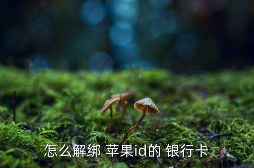 怎么解綁 蘋(píng)果id的 銀行卡