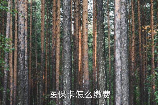  醫(yī)?？ㄔ趺蠢U費(fèi)