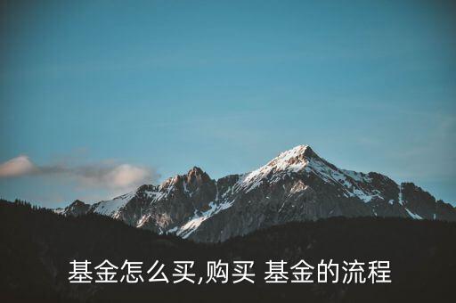 怎么買(mǎi)債券型基金,貨幣基金投資方式有哪些?