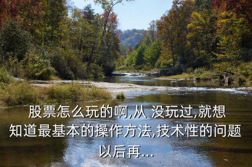  股票怎么玩的啊,從 沒玩過,就想知道最基本的操作方法,技術(shù)性的問題以后再...