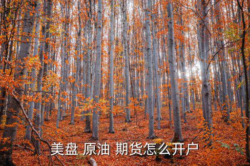 美盤 原油 期貨怎么開(kāi)戶