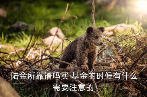  陸金所靠譜嗎買(mǎi) 基金的時(shí)候有什么需要注意的