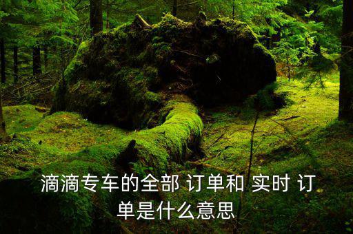  滴滴專(zhuān)車(chē)的全部 訂單和 實(shí)時(shí) 訂單是什么意思