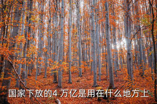 國(guó)家下放的4 萬(wàn)億是用在什么地方上
