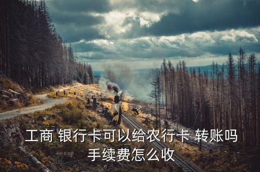 工商 銀行卡可以給農(nóng)行卡 轉賬嗎 手續(xù)費怎么收