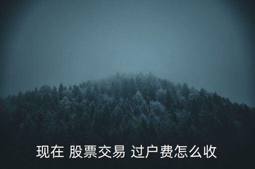 現在 股票交易 過戶費怎么收