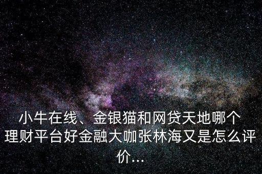  小牛在線、金銀貓和網(wǎng)貸天地哪個 理財平臺好金融大咖張林海又是怎么評價...