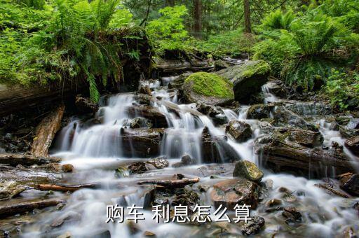 購(gòu)車 利息怎么算