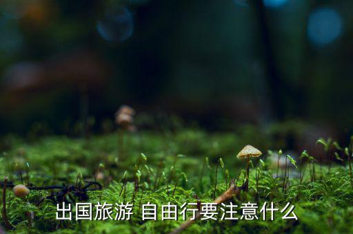 出國(guó)旅游 自由行要注意什么