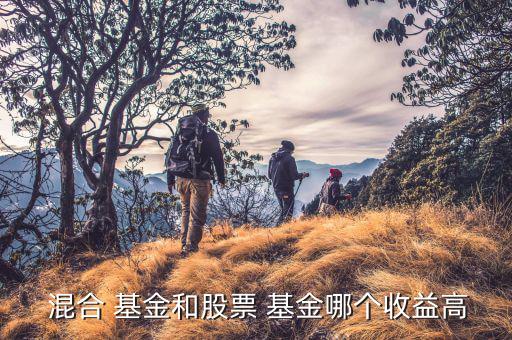 銀華中小盤混合基金怎么樣,韓東言投資能力獲五年金?；?/></a></span><span id=