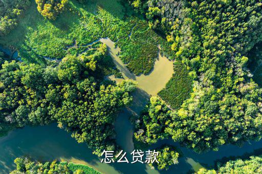 怎么借貸,小曼app-優(yōu)花花貸利率低、放款快、安全等特點
