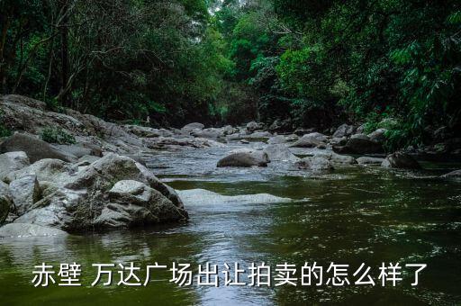 赤壁 萬達(dá)廣場出讓拍賣的怎么樣了