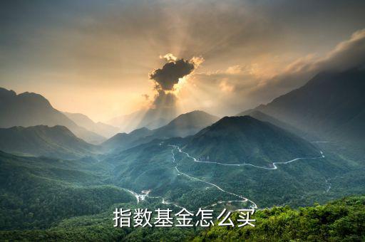  指數基金怎么買