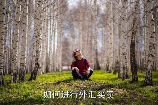 怎么買(mǎi)匯率,如何閱讀匯率(1）
