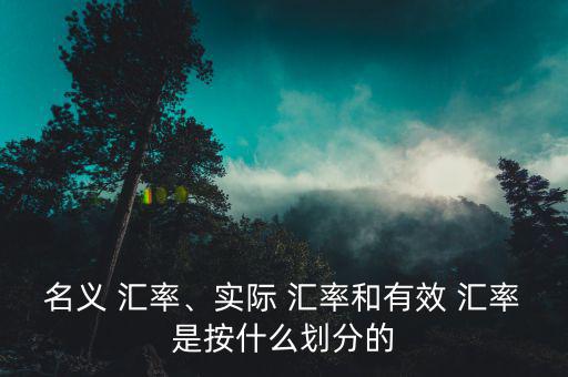 名義 匯率、實(shí)際 匯率和有效 匯率是按什么劃分的