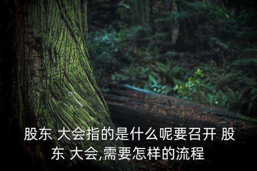 股東大會(huì)怎么參加,公司制企業(yè)最高權(quán)力機(jī)構(gòu)召開(kāi)股東大會(huì)