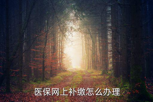 怎么補交醫(yī)保,因個人原因斷了社?？缮暾埞緸樽约豪U納費用