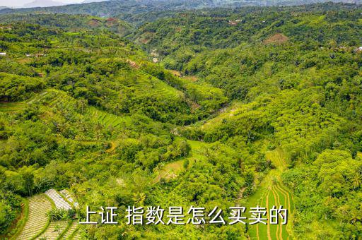  上證 指數(shù)是怎么買(mǎi)賣(mài)的