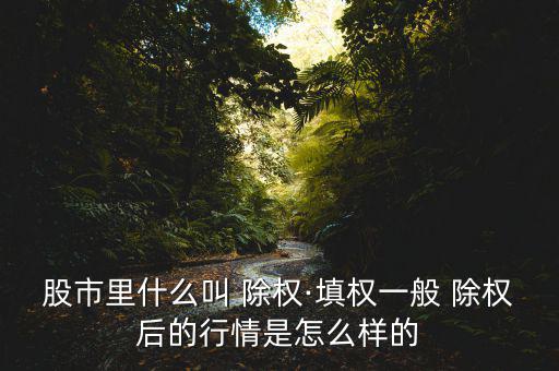 股市里什么叫 除權·填權一般 除權后的行情是怎么樣的