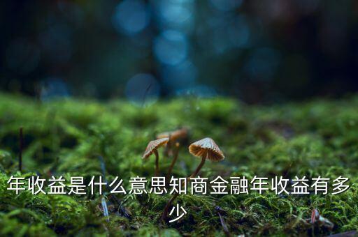 資金占用年收益是什么意思，利息支出中有個(gè)資金占用費(fèi)這個(gè)是什么意思