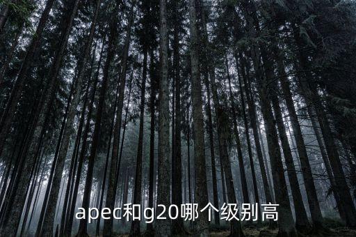 國(guó)際貿(mào)易額由什么組成，國(guó)際貿(mào)易額和對(duì)外貿(mào)易額兩者的區(qū)別