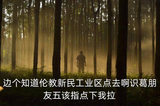 李葛衛(wèi)為什么入新民科技，邊個知道倫教新民工業(yè)區(qū)點去啊識葛朋友五該指點下我拉