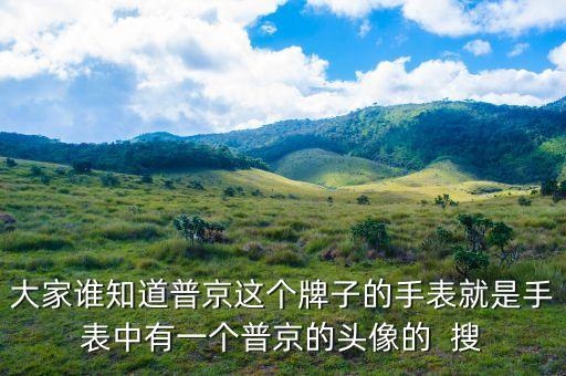 普京皮帶是什么牌子，大家誰知道普京這個(gè)牌子的手表就是手表中有一個(gè)普京的頭像的  搜