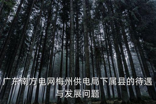 廣東南方電網梅州供電局下屬縣的待遇與發(fā)展問題