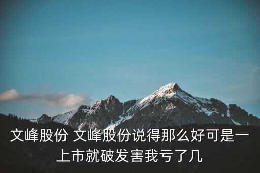 文峰股份是什么公司，文峰股份怎么樣