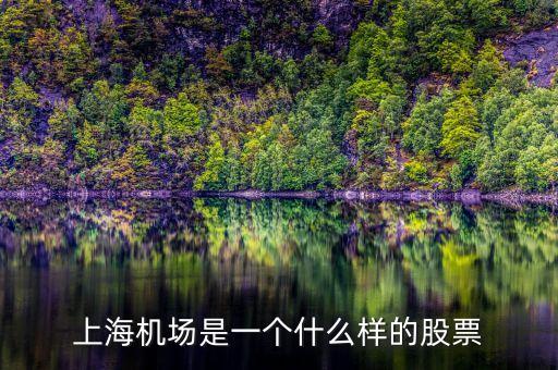 上海機(jī)場(chǎng)股票屬于什么股票，上海機(jī)場(chǎng)屬于什么行業(yè)的股票