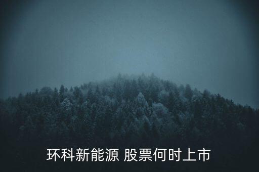 新能源股票什么時(shí)候上市呢，環(huán)科新能源 股票何時(shí)上市