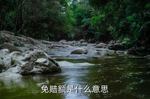 什么是免征額，免賠額是什么意思