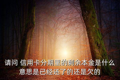 分期付息的本金是什么，請(qǐng)問 信用卡分期里的剩余本金是什么意思是已經(jīng)還了的還是欠的
