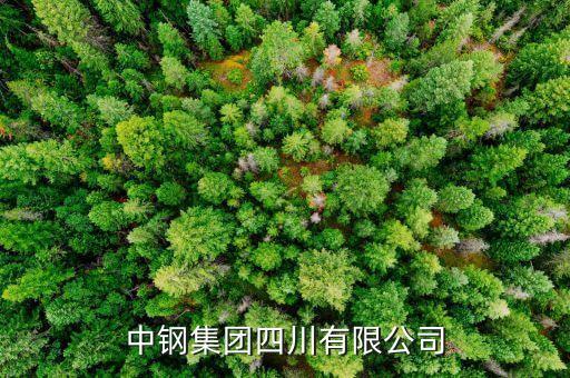 中鋼什么級(jí)別，中尉是什么等級(jí)