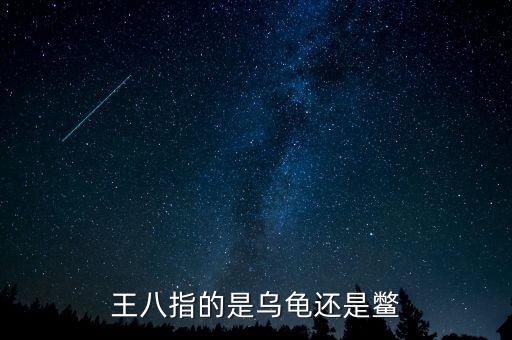 海王八指什么，什么是海王八