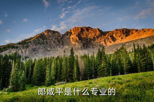 郎咸平是干什么的，郎咸平是