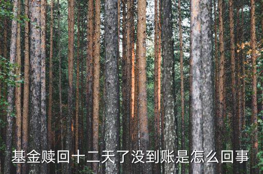 贖回成13天了為什么錢沒到賬，基金贖回成功了 為什么還沒到帳