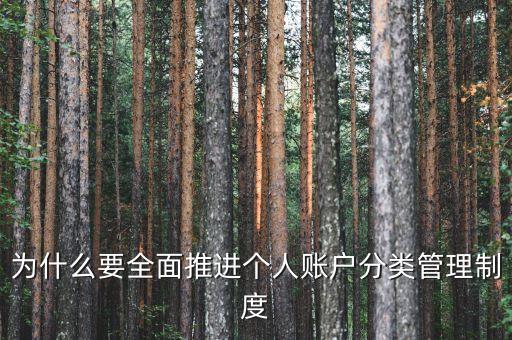 為什么進(jìn)行賬戶分類，為什么要全面推進(jìn)個人賬戶分類管理制度