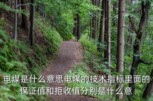 電煤是什么意思電煤的技術(shù)指標里面的保證值和拒收值分別是什么意
