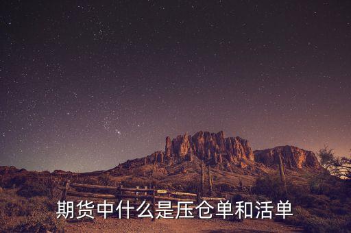 上海期貨交易所標(biāo)準(zhǔn)倉(cāng)單是什么，期貨中倉(cāng)單是什么