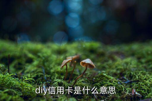diy信用卡是什么意思，D1y信用卡是什么意思