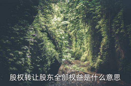 什么是全權(quán)益公司，股權(quán)轉(zhuǎn)讓股東全部權(quán)益是什么意思