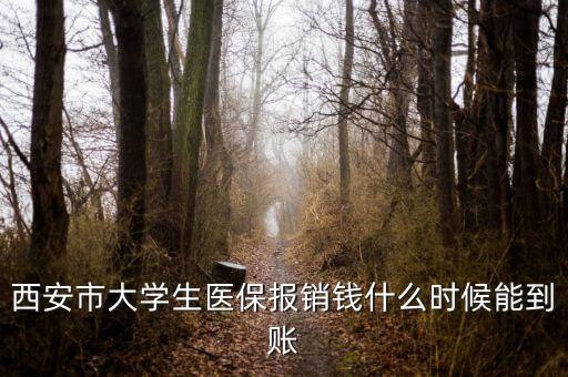 大學生醫(yī)保什么時候到賬，大學生武漢醫(yī)保報銷費什么時候到帳啊
