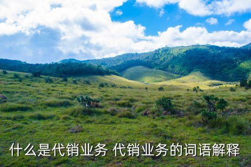 什么是銀行代銷業(yè)務(wù)，什么是銀行代銷理財產(chǎn)品