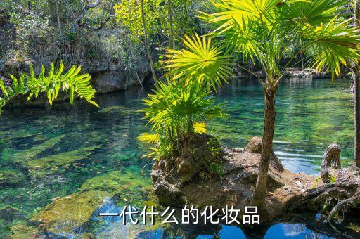 化妝品代領什么意思，代理化妝品怎么回事是怎么賺錢的